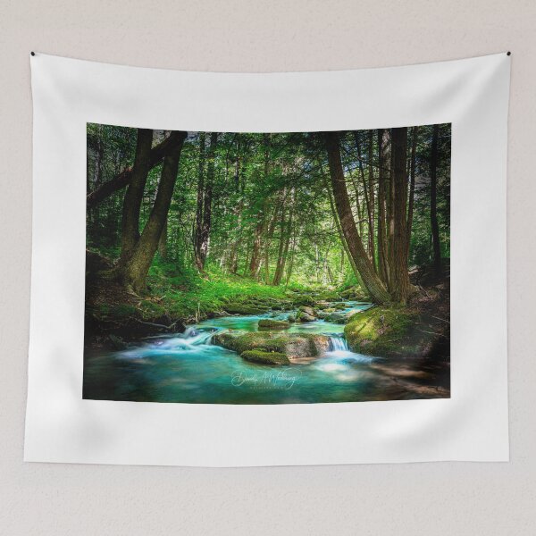 Item preview, Peaceful Mountain stream,  Pennsylvania USA designed and sold by mcrvlife.