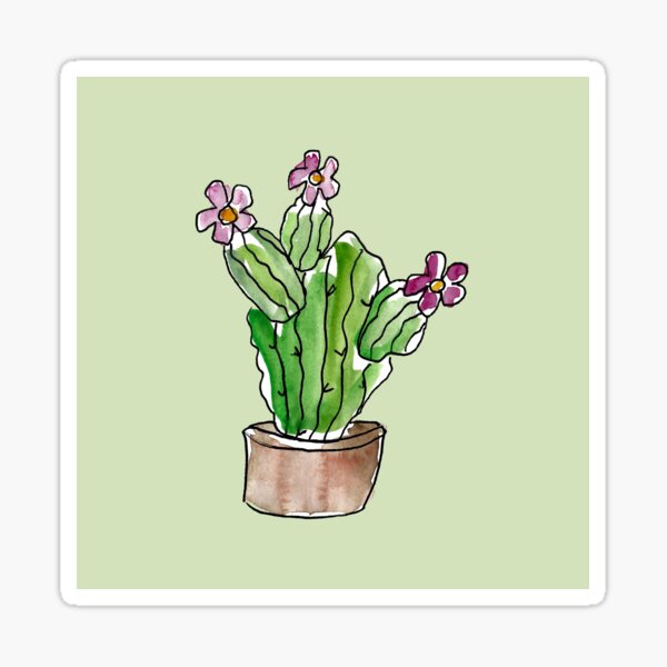 Cactus fleuri sur fond vert pâle Sticker