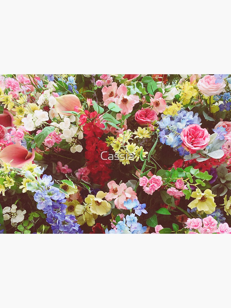 Floral Explosion by Cassia