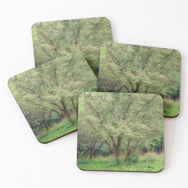 Item preview, Solymár, Hungary designed and sold by PeterCseke.