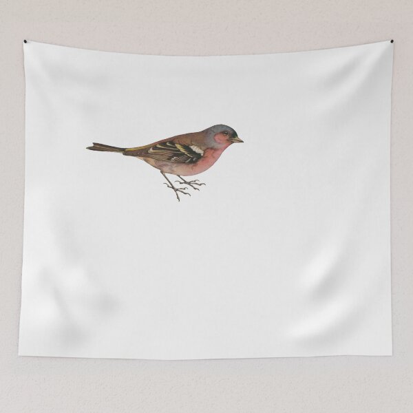 Item preview, Bird Art - Common chaffinch - Vintage bird print designed and sold by Studio66Designs.