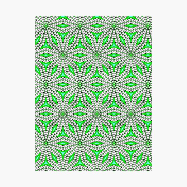 Photographic Print