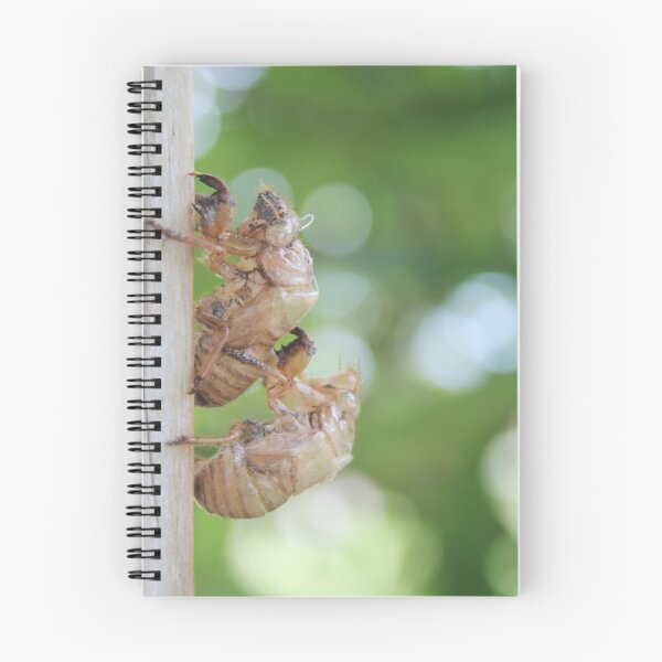 Item preview, Cicada Love designed and sold by Islandjunkie09.