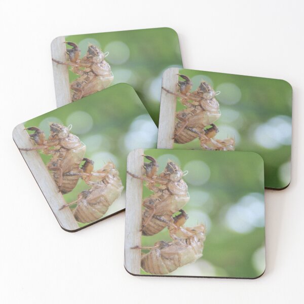 Item preview, Cicada Love designed and sold by Islandjunkie09.