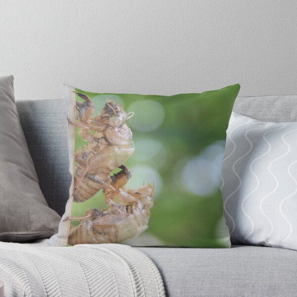 Item preview, Cicada Love designed and sold by Islandjunkie09.