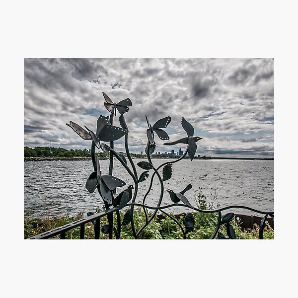 City through the birds. Photographic Print