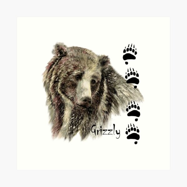 Pin by MysticKnots.com on Sketches Art + Gifts  Bear spirit animal, Spirit  animal meaning, Animal meanings