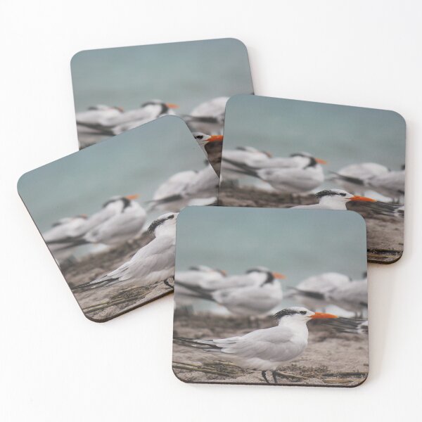 Item preview, Atlantic Tern Bird designed and sold by Islandjunkie09.