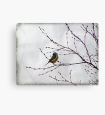 Perched Canvas Print