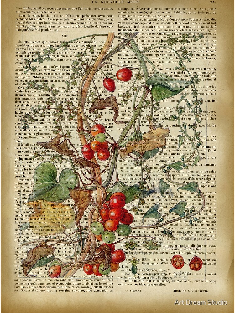 Cách đăng ký và sử dụng Canva