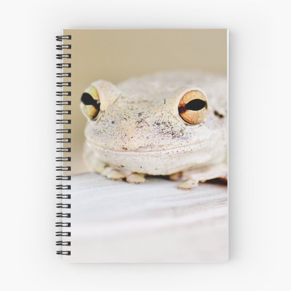 Item preview, Smiling Frog designed and sold by Islandjunkie09.