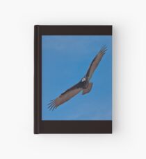 Turkey Vulture in Flight Hardcover Journal