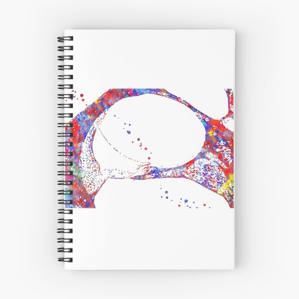 Item preview, Inner ear Histology, Cochlea Histology, Audiology designed and sold by Rosaliartbook.
