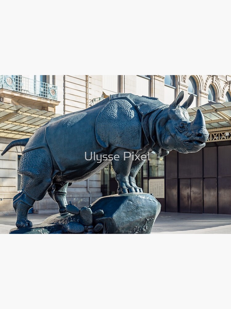 sculpture plastiline rhinoceros et lionne by NicolasFort on DeviantArt