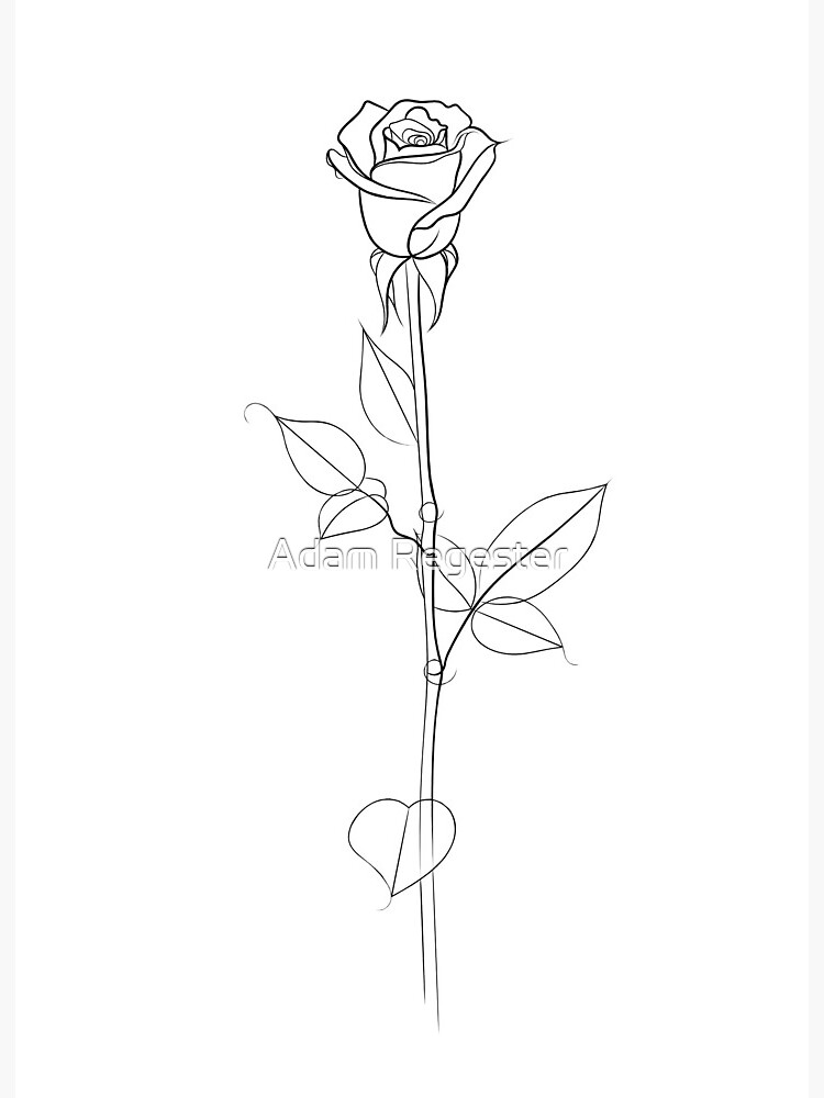One line drawing rose flower, vector illustration Stock Vector | Adobe Stock