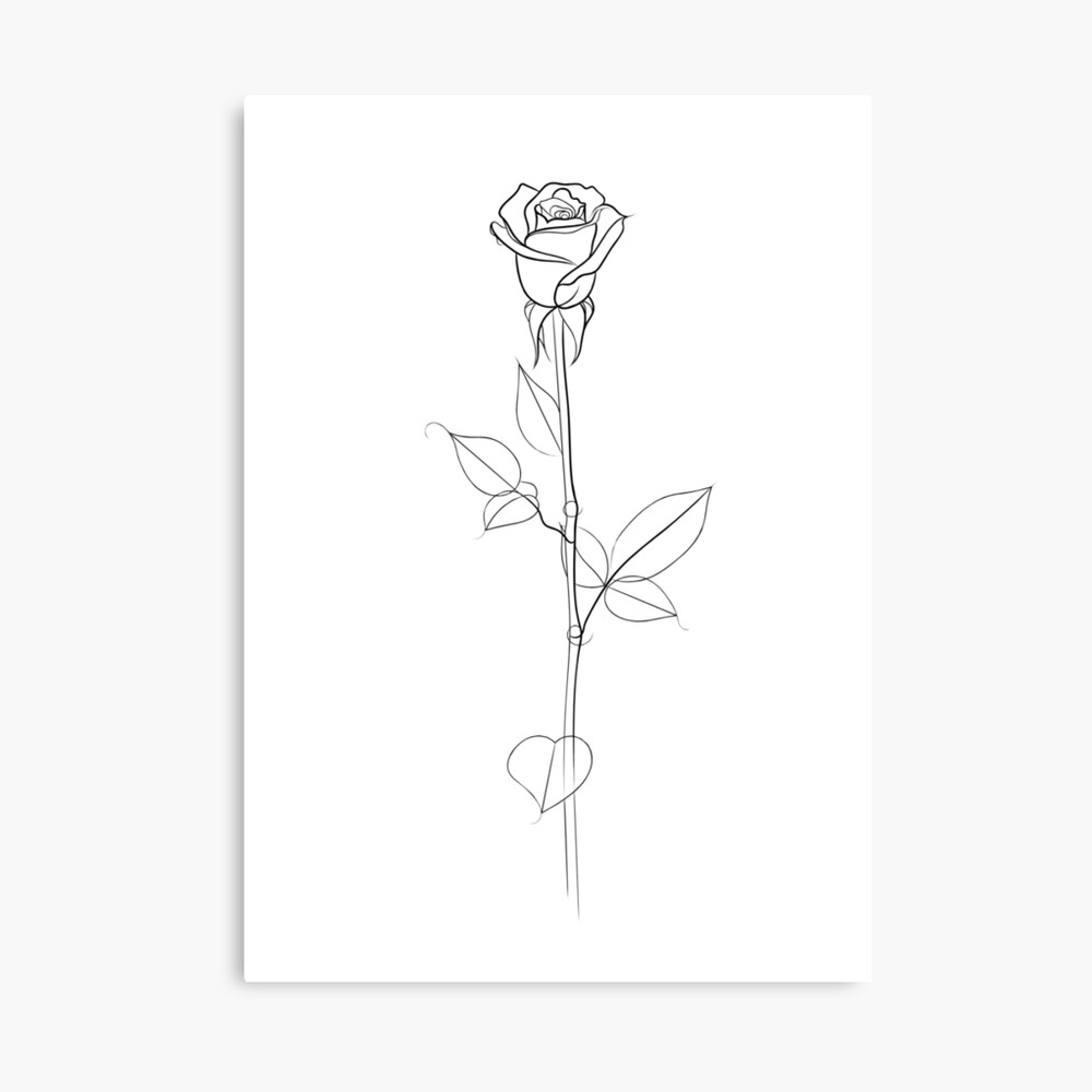Digital Print Rose Line Drawing Wall Art Décor, Print at Home, Black and  White Rose Poster Print, Minimalist Rose Drawing, Downloadable - Etsy UK |  Rose line art, Rose outline drawing, Rose sketch