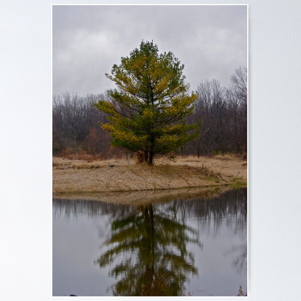 Item preview, tree of life designed and sold by Mark de Jong.