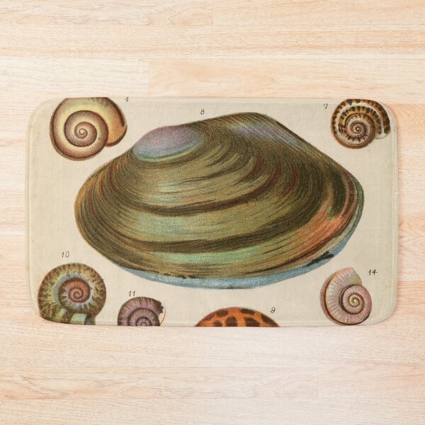 Item preview, Vintage Shell Collection designed and sold by Salocin.