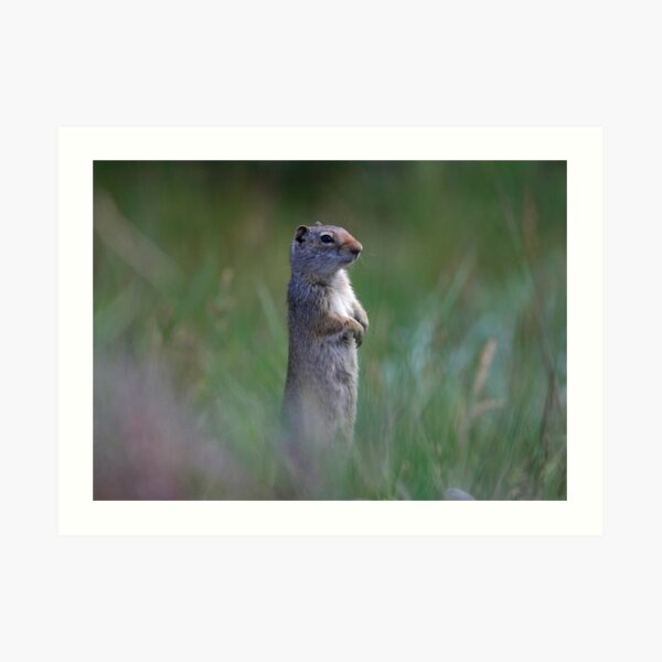 On Guard Art Print