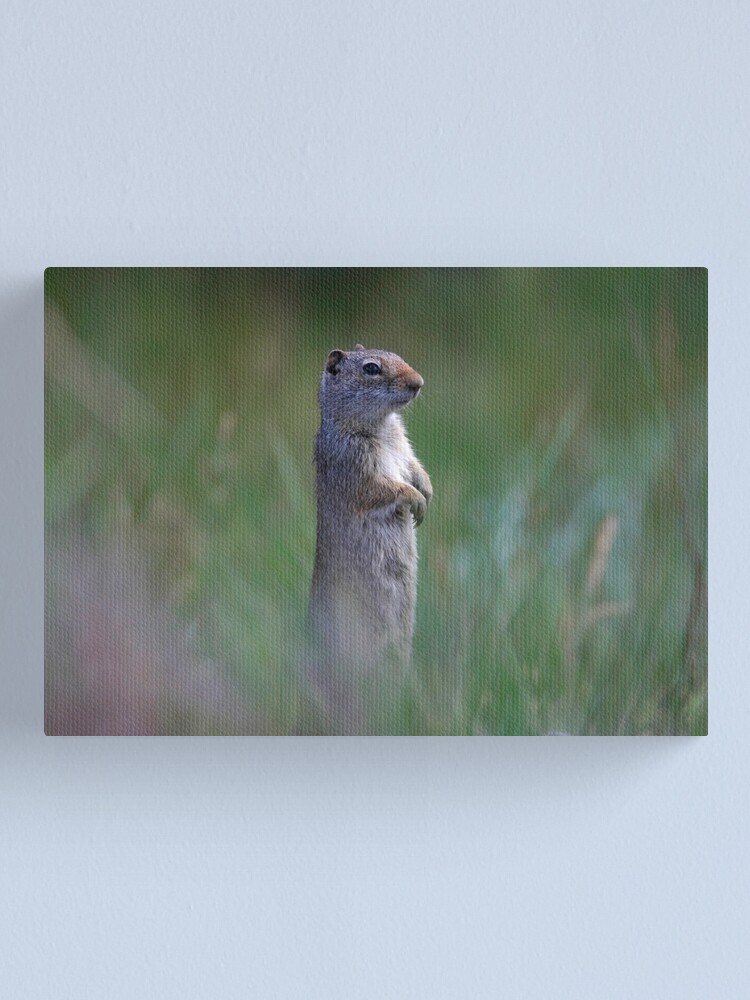 Alternate view of On Guard Canvas Print
