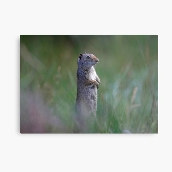 On Guard Metal Print