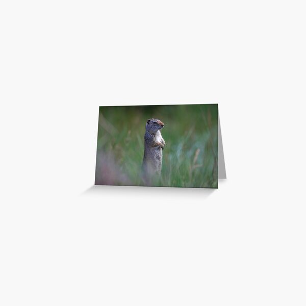 On Guard Greeting Card