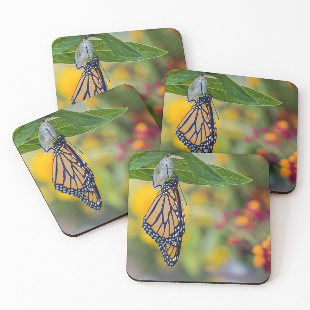 Item preview, Coasters (Set of 4) designed and sold by Rabbitti.
