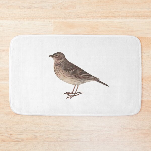 Item preview, Bird Art - Eurasian Skylark - Vintage bird print designed and sold by Studio66Designs.