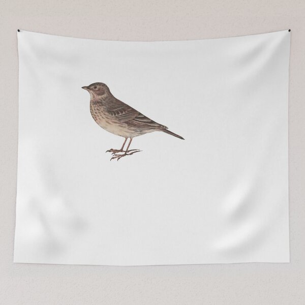 Item preview, Bird Art - Eurasian Skylark - Vintage bird print designed and sold by Studio66Designs.
