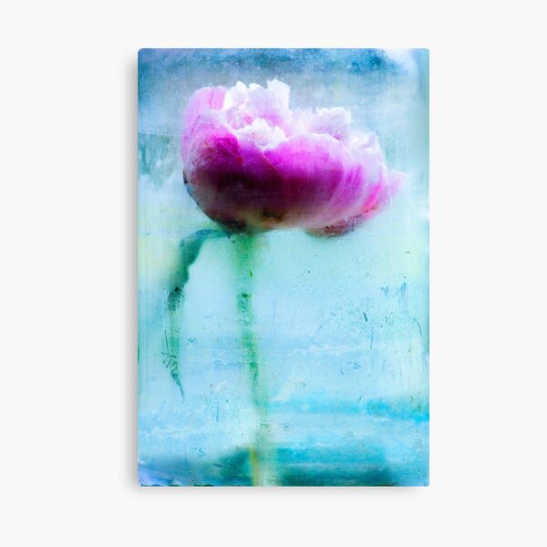 Peony Canvas Print