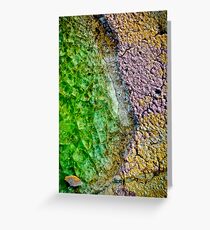 The Beauty of Things Greeting Card