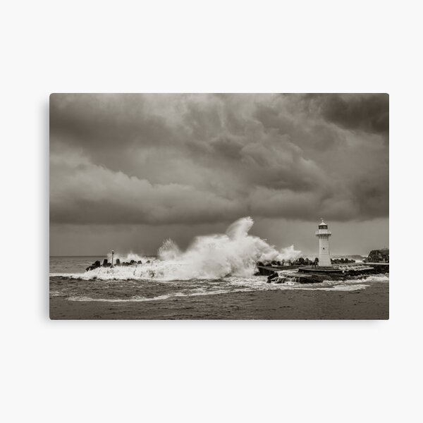Item preview, Braving Belmore designed and sold by 16images.