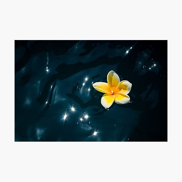 Artikelvorschau, Plumeria-Schein entworfen und verkauft von Leanne Kelly.