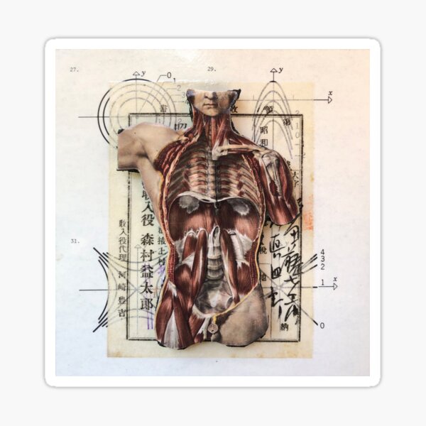 The Calculus of Living I Sticker