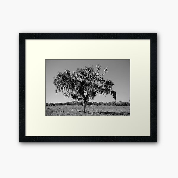 Item preview, Lone Tree #3 designed and sold by Frank Bibbins.