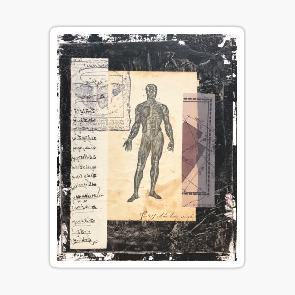 Striae Sticker