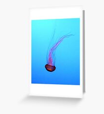 Diving Greeting Card