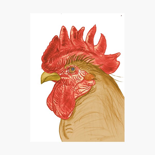 Rooster Photographic Print