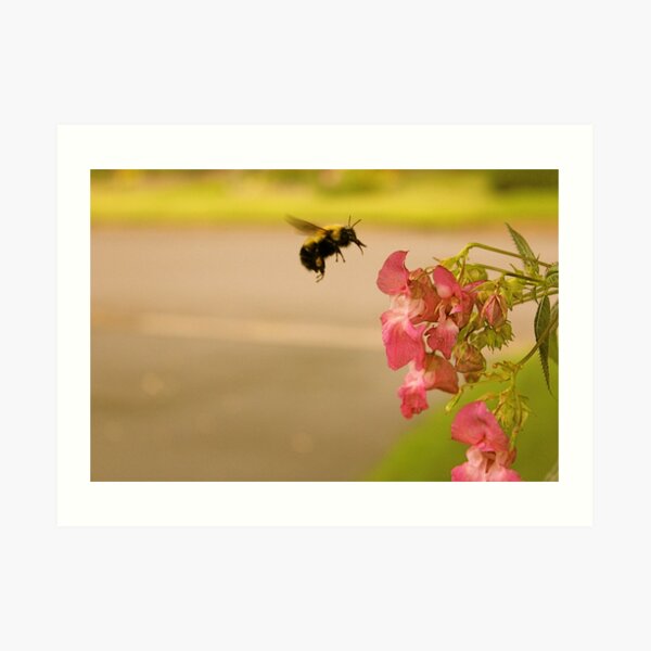 Don't Worry, Bee Happy Art Print