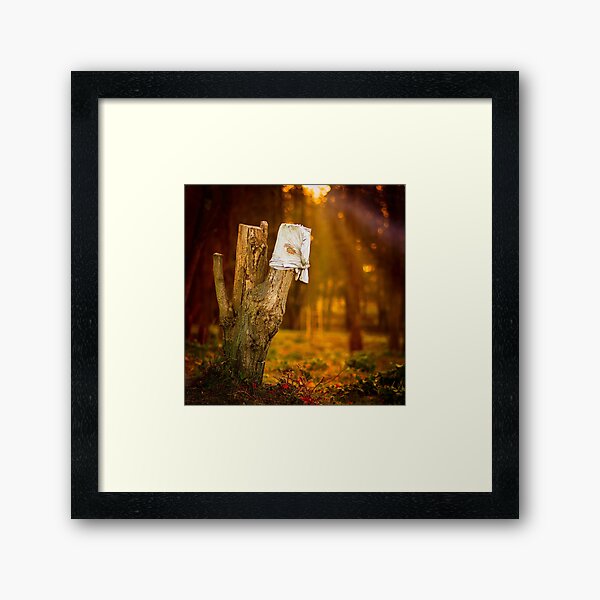 Wounded Framed Art Print
