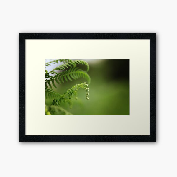 Little Big World I Framed Art Print