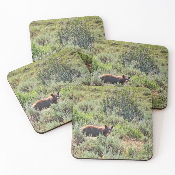 Item preview, Bear Spotting designed and sold by Rachel Jeffrey.