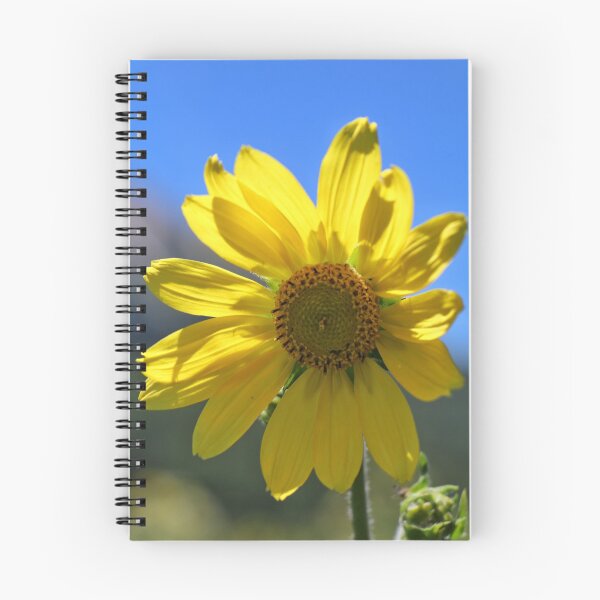 Item preview, Wild Sunflower designed and sold by Rachel Jeffrey.