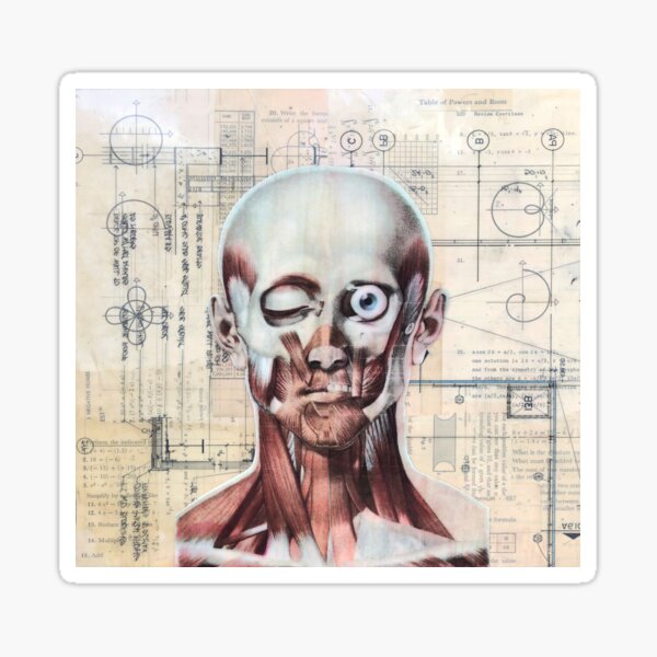 The Calculus of Living II Sticker
