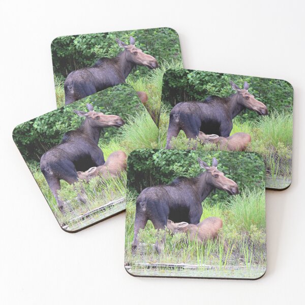 Item preview, Moose Cow & Calf designed and sold by John Maciel.