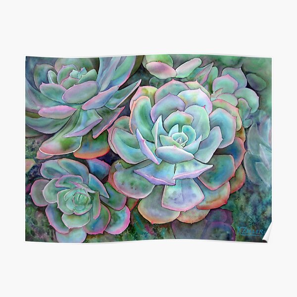 Succulents II Poster