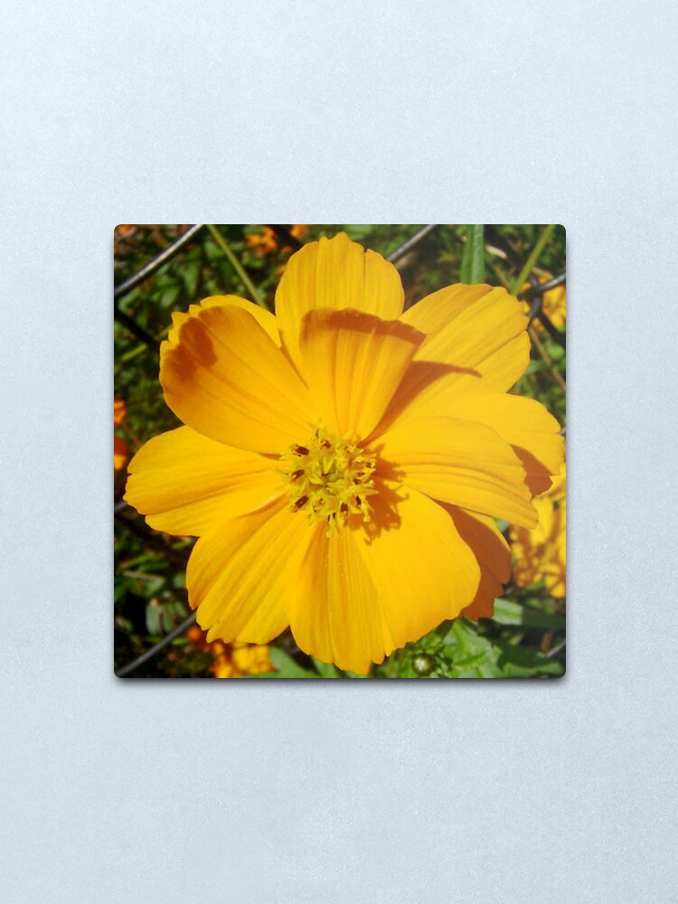 Alternate view of Unrestricted Flower Metal Print