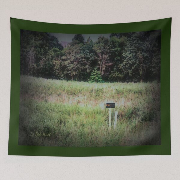 Item preview, "Now, Why Don't She Write?," Photo, for prints and products designed and sold by Bob Hall©.