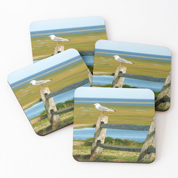 Item preview, #495     Sea Bird Perched On Fence designed and sold by MyInnereyeMike.