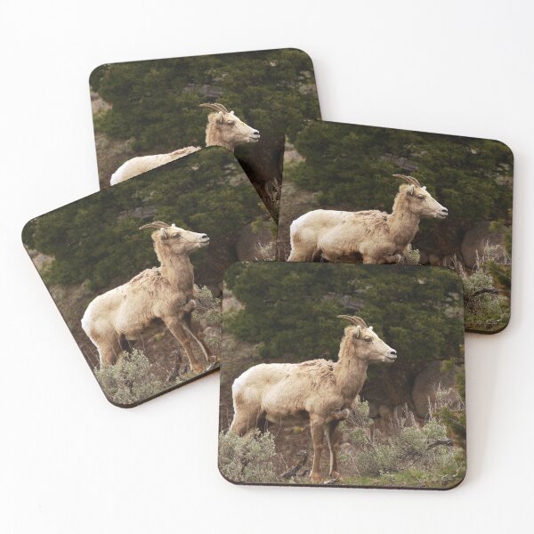 Item preview, bighorn ewe designed and sold by grizzbass.